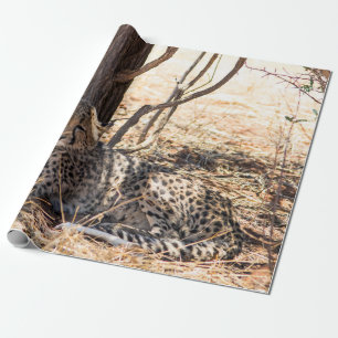 Gepard, der unter einem Baum sich entspannt Geschenkpapier