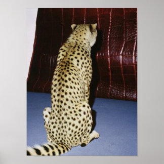Gepard-Druck Poster