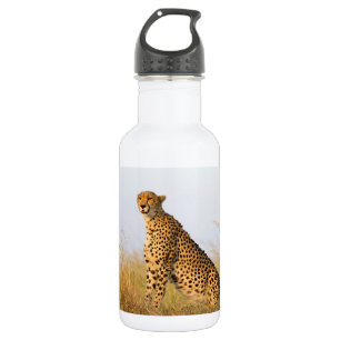 Gepard Edelstahlflasche