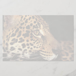 Gepard-Gesicht Briefpapier