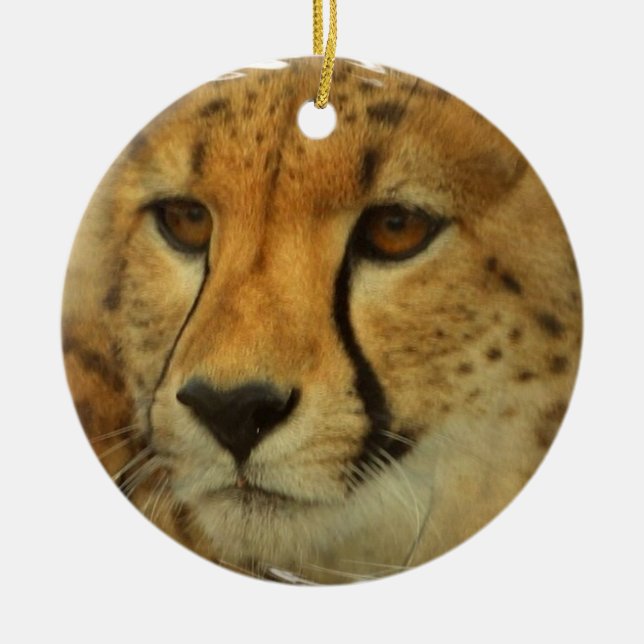 Gepard-Gesichts-Verzierung Keramik Ornament (Vorne)