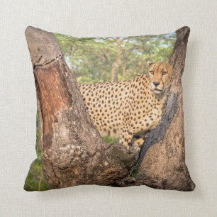 Gepard im Baum-Kissen Kissen