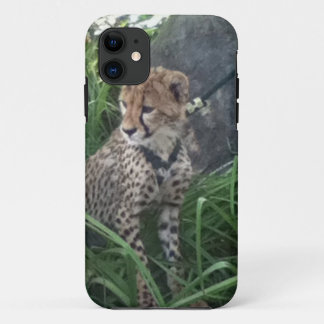 Gepard iPhone Fall title_seo2