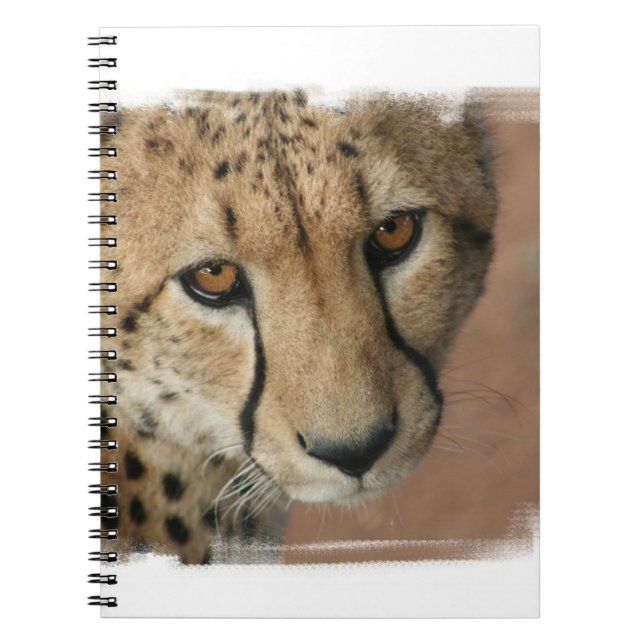 Gepard-Katzen-Notizbuch Notizblock (Vorderseite)