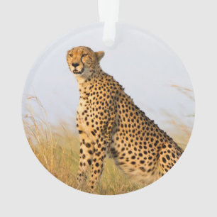Gepard Ornament
