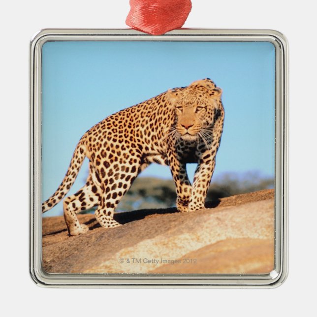Gepard Ornament Aus Metall (Vorne)