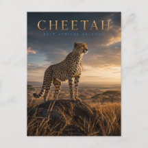 Gepard ostafrikanische Savanne TIERKUNST
