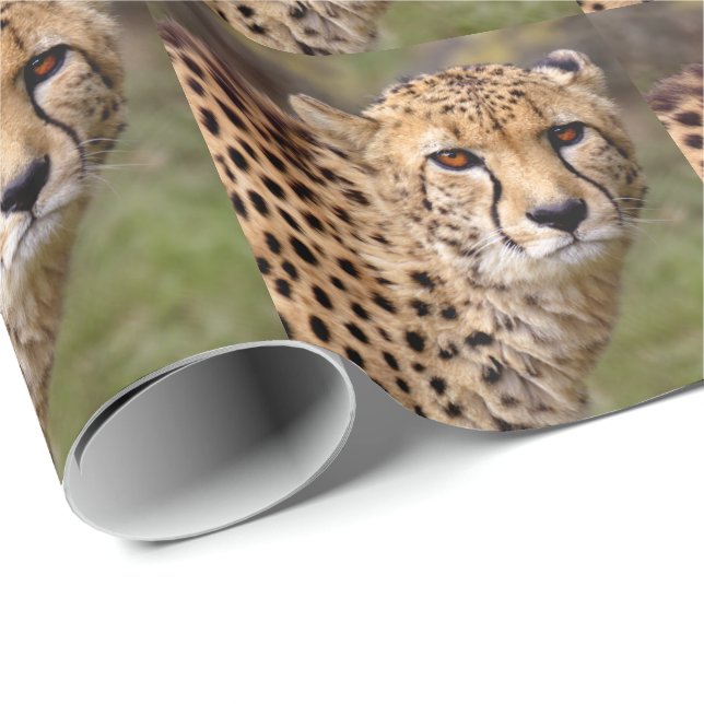 Gepard-Packpapier Geschenkpapier (Rolleneckpunkt)