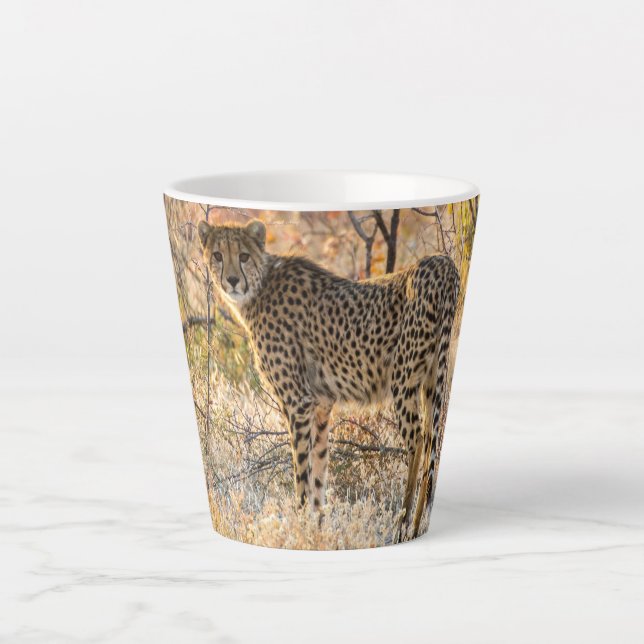 Gepard schaut sich um milchtasse (Vorderseite)