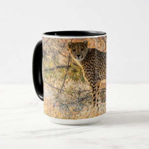Gepard schaut sich um tasse