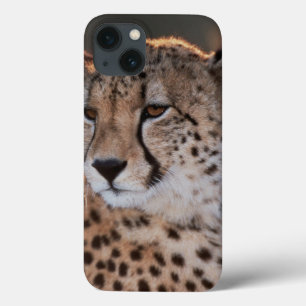 Gepard schaut weg Case-Mate iPhone hülle
