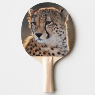 Gepard schaut weg tischtennis schläger