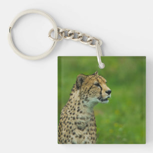 Gepard Schlüsselanhänger