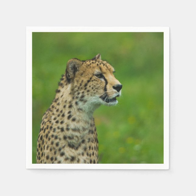 Gepard Serviette (Vorderseite)