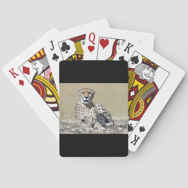 Gepard Spielkarten (Rückseite)