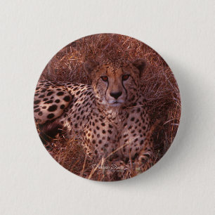 Gepard-Starren Button