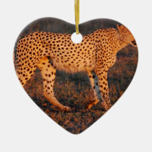 Gepard Südafrika am Sonnenuntergang Keramikornament