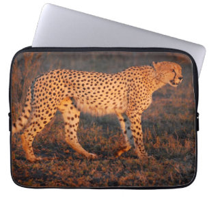 Gepard Südafrika am Sonnenuntergang Laptopschutzhülle