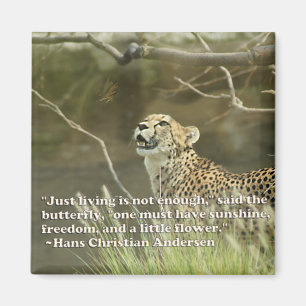 GEPARD UND SCHMETTERLING MAGNET