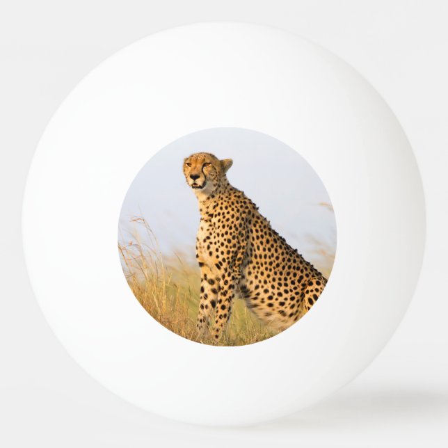 Gepard-Wildafrikanisches Foto Big Cat Tischtennisball (Vorderseite)
