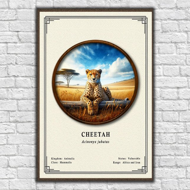 Gepard-Zoologie-Serie Poster (Von Creator hochgeladen)