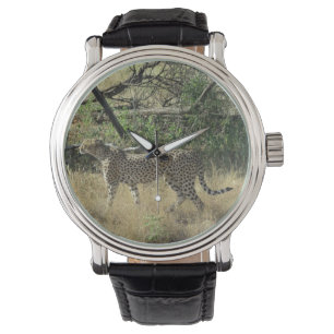 Geparde in Samburu Armbanduhr