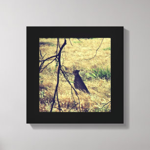 Geparde in Samburu Leinwanddruck