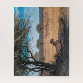 Geparden, die unter Akazienbaum stehen