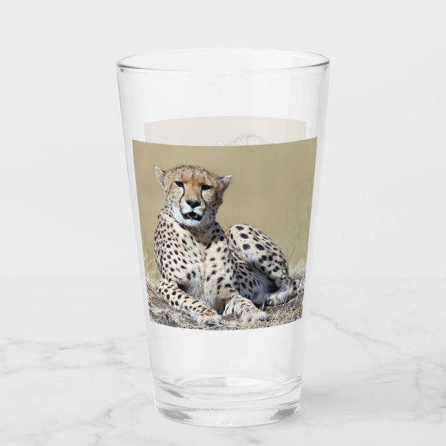 Geparden im Masai Mara im kenianischen Foto Glas (Vorderseite)