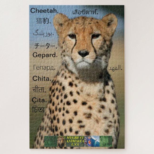 Geparden-Puzzle, in verschiedenen Sprachen. (Vertikal)