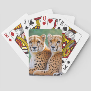 Geparden Tier Natur Wildlife Zuneigung Gekümmert Spielkarten