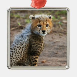 Gepardenjunges Acinonyx Jubatus) Silbernes Ornament