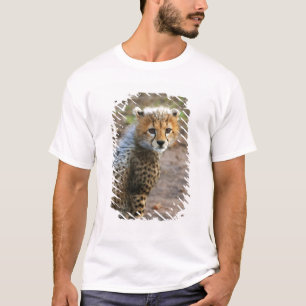 Gepardenjunges (Acinonyx Jubatus) T-Shirt