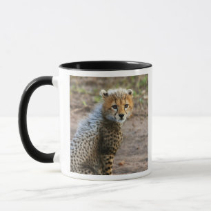 Gepardenjunges Acinonyx Jubatus) Tasse