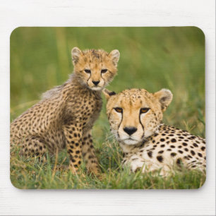 Gepardenjunges und Elternteil im Gras Mousepad
