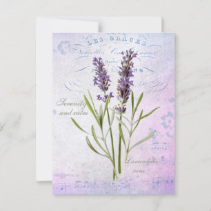 Gepflegte Lavandula Vera Serenität und Ruhe Postkarte