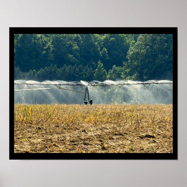 Gepflügtes Feld wird bewässert Poster (Vorne)