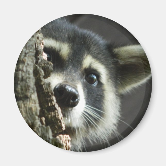 geplagt magnet (Vorne)