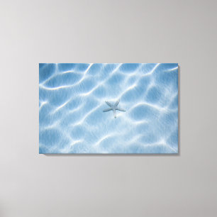 Geplätschertes blaues Wasser mit Starfish Leinwanddruck