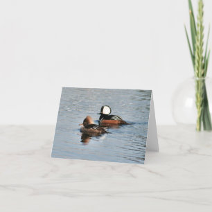Gepocktes Merganser Duck Foto Faltkarte
