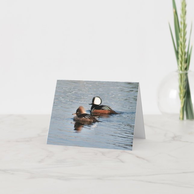 Gepocktes Merganser Duck Foto Faltkarte (Vorderseite)