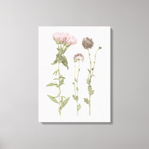 Gepresste Blüte - Rosa Leinwanddruck