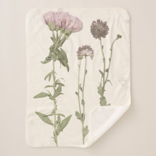 Gepresste Blüte - Rosa Sherpadecke