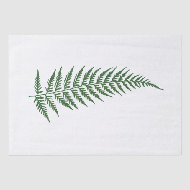 Gepresstes botanisches Farn-Blatt - Mischungs-und Seidenpapier (Vorderseite)