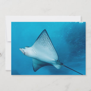 Gepunktet Eagle Ray