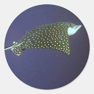 Gepunktet Eagle Ray Runder Aufkleber