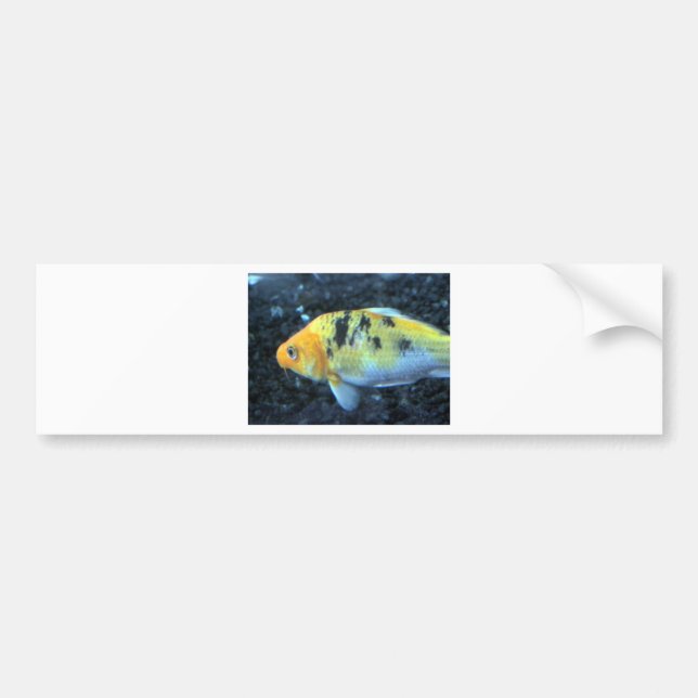 Gepunktet Goldfish Autoaufkleber (Vorne)
