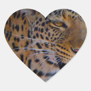 Gepunktet Leopard Herz-Aufkleber