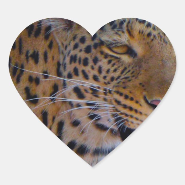 Gepunktet Leopard Herz-Aufkleber (Vorderseite)