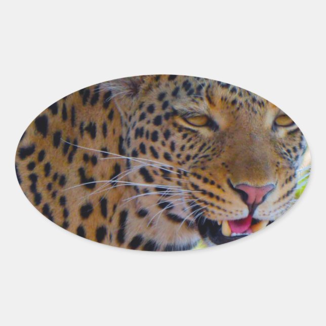 Gepunktet Leopard Ovaler Aufkleber (Vorderseite)
